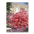 Trademark Fine Art David Lloyd Glover 'Pink Bougainvillea Mansion' Canvas Art, 35x47 DLG0325-C3547GG